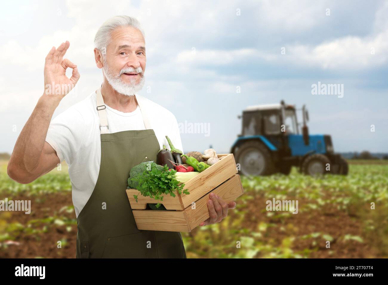 Harvesting season. Farmer holding wooden crate with crop and showing ok ...