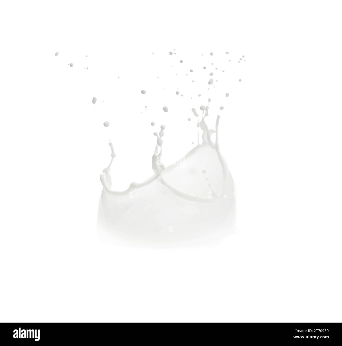 Splash of fresh milk on white background Stock Photo - Alamy