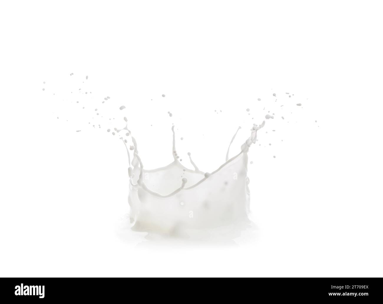 Splash of fresh milk on white background Stock Photo - Alamy