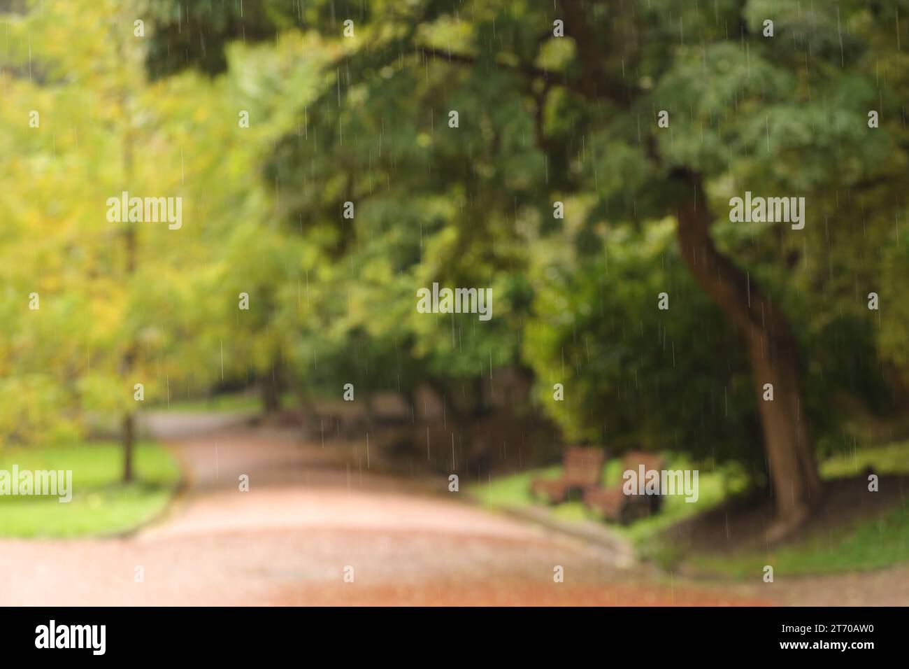 Blurred view outdoor pathway hi-res stock photography and images - Alamy