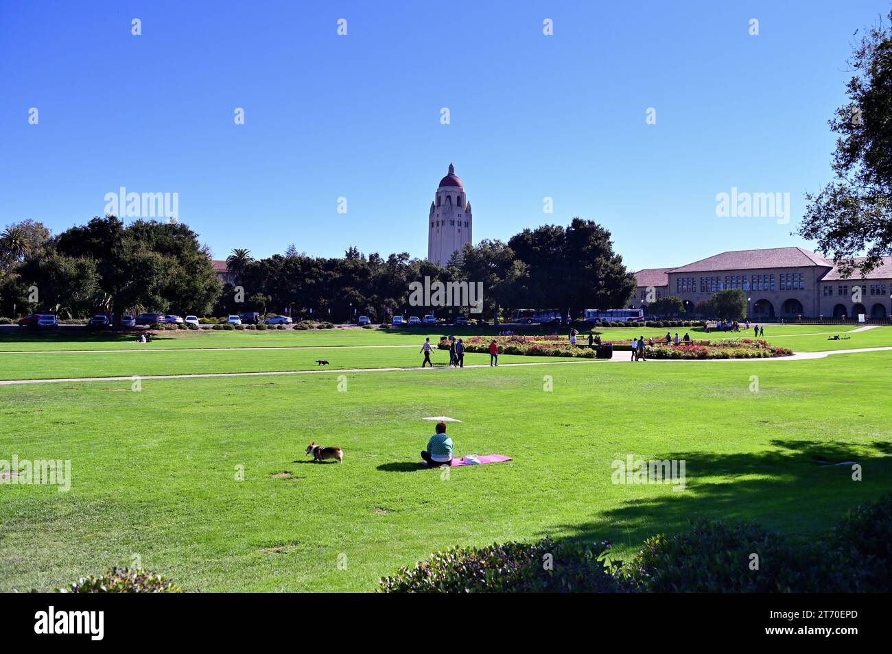 Stanford, California, USA. The grassy Oval on the campus of Stanford University. Stock Photo
