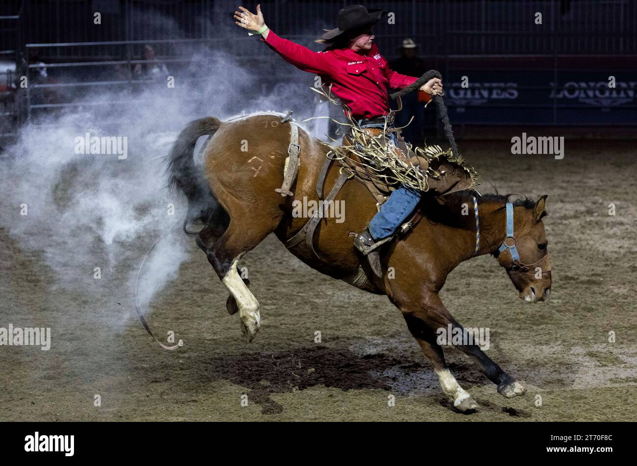 Peter Full Rodeo Xinhua peter hi-res stock photography and images - Alamy