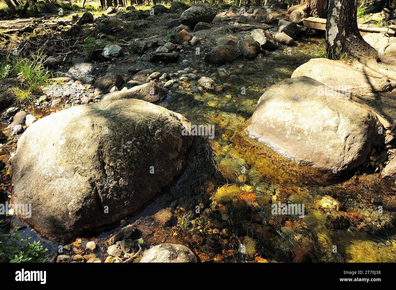 Large stones in the rapid bed of a shallow river flowing through the ...