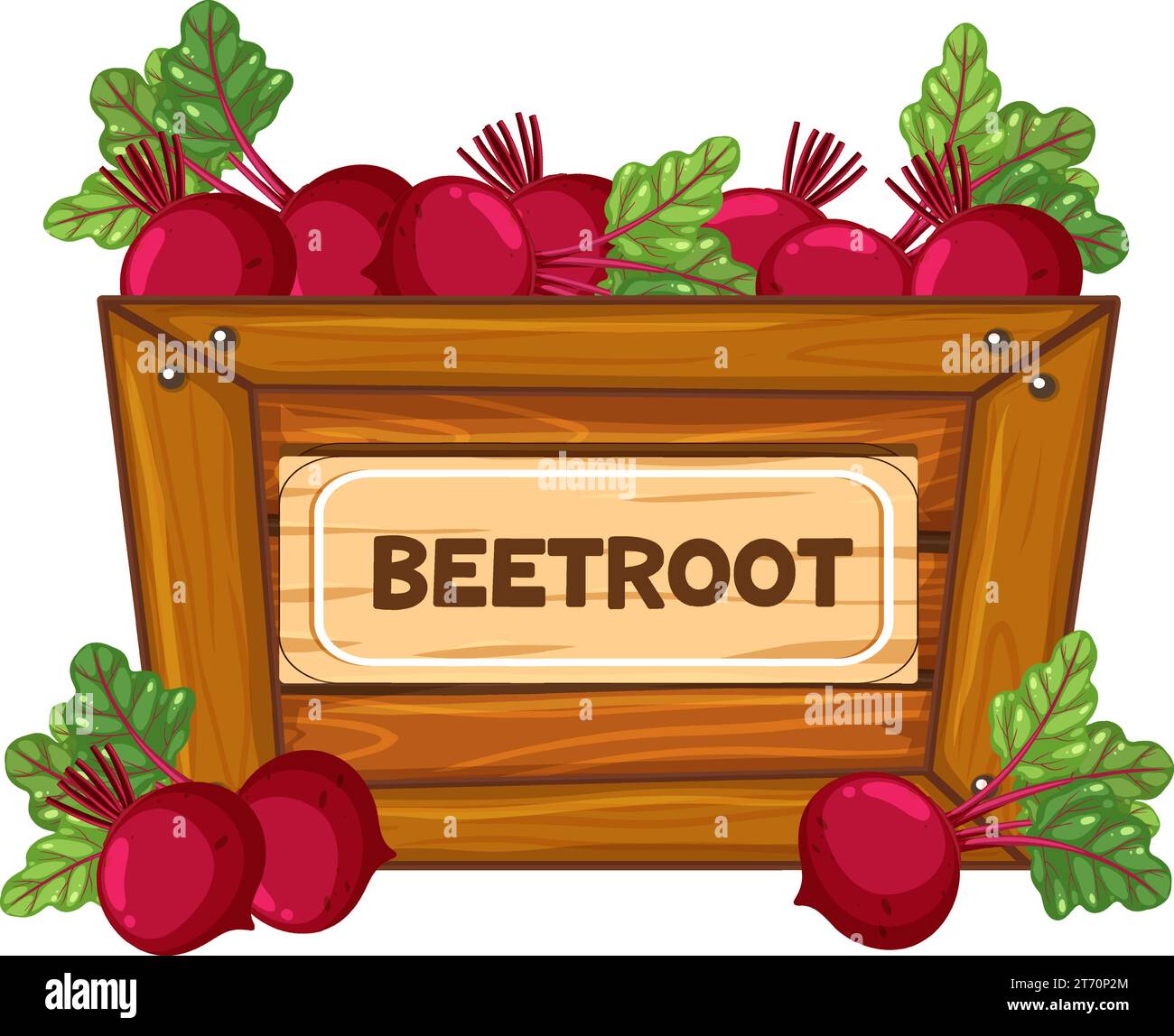 Colorful beetroot displayed in a wooden box with a sign banner Stock ...