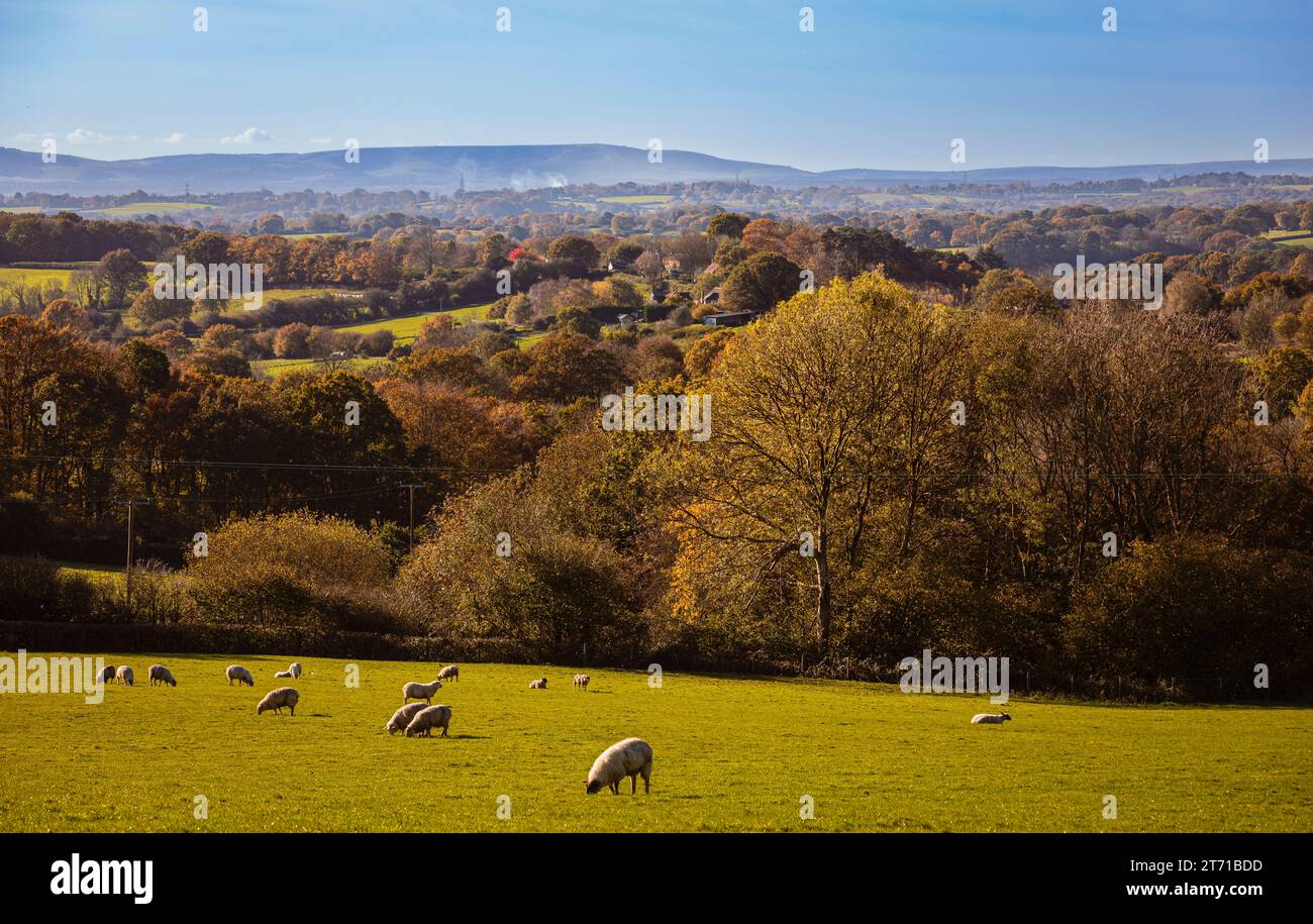 Autumn morning view over the high weald to the south downs from Herrings lane east Sussex south east England UK Stock Photo