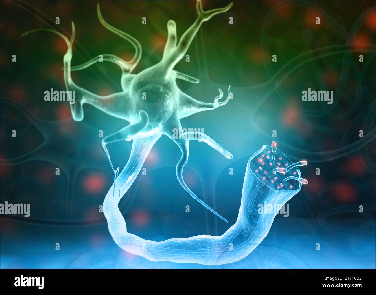 Neurons and nervous system on science background. 3d illustration Stock ...