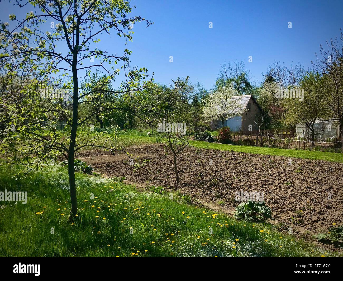 A garden plot with a lot of trees and a partition house in the distance. Stock Photo