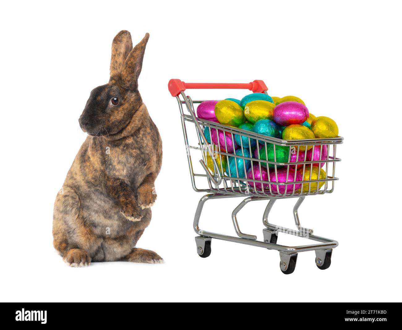 easter bunny standing with basket filled with candy easter eggs isolated on white background Stock Photo