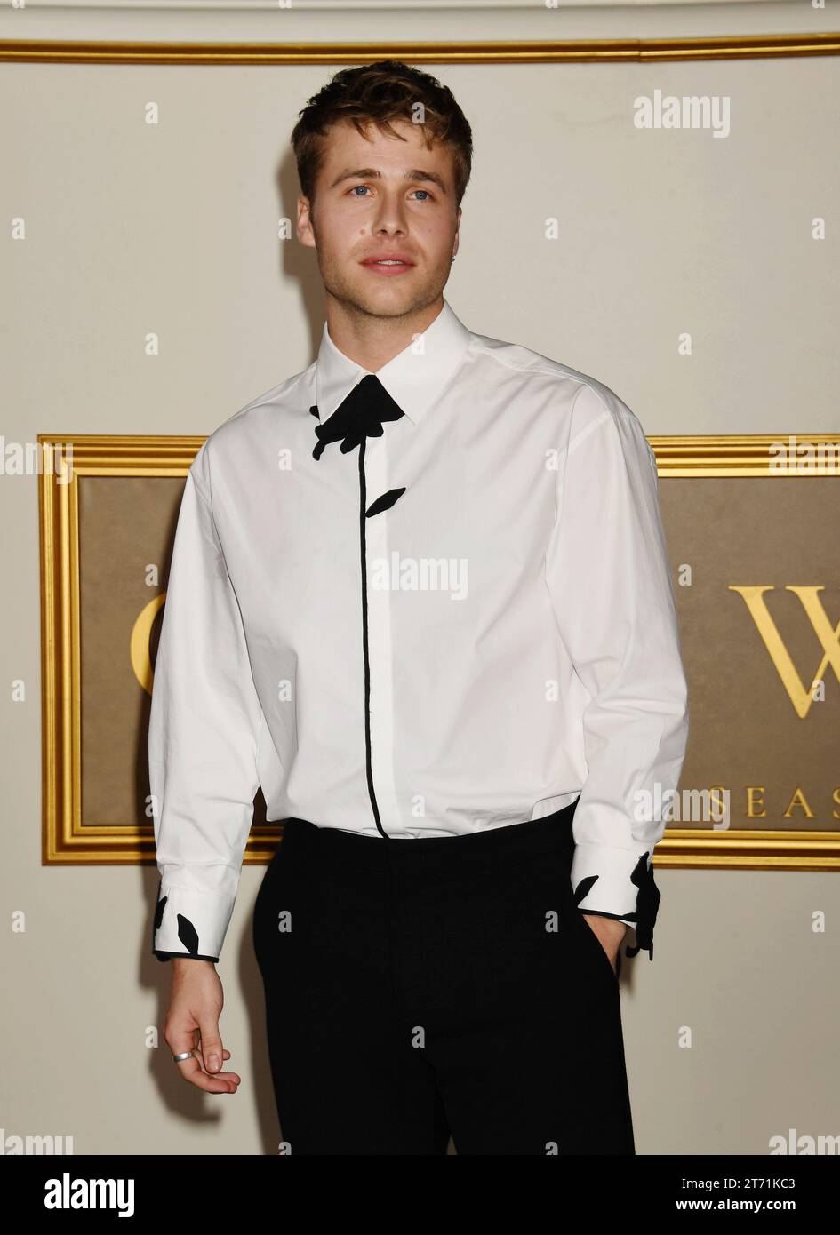 LOS ANGELES, CALIFORNIA - NOVEMBER 12: Ed McVey attends the premiere of