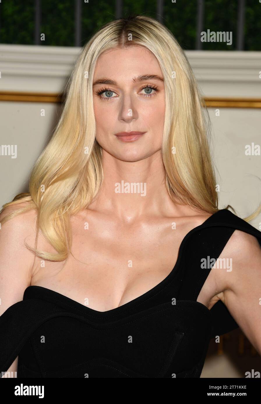 LOS ANGELES, CALIFORNIA - NOVEMBER 12: Elizabeth Debicki attends the