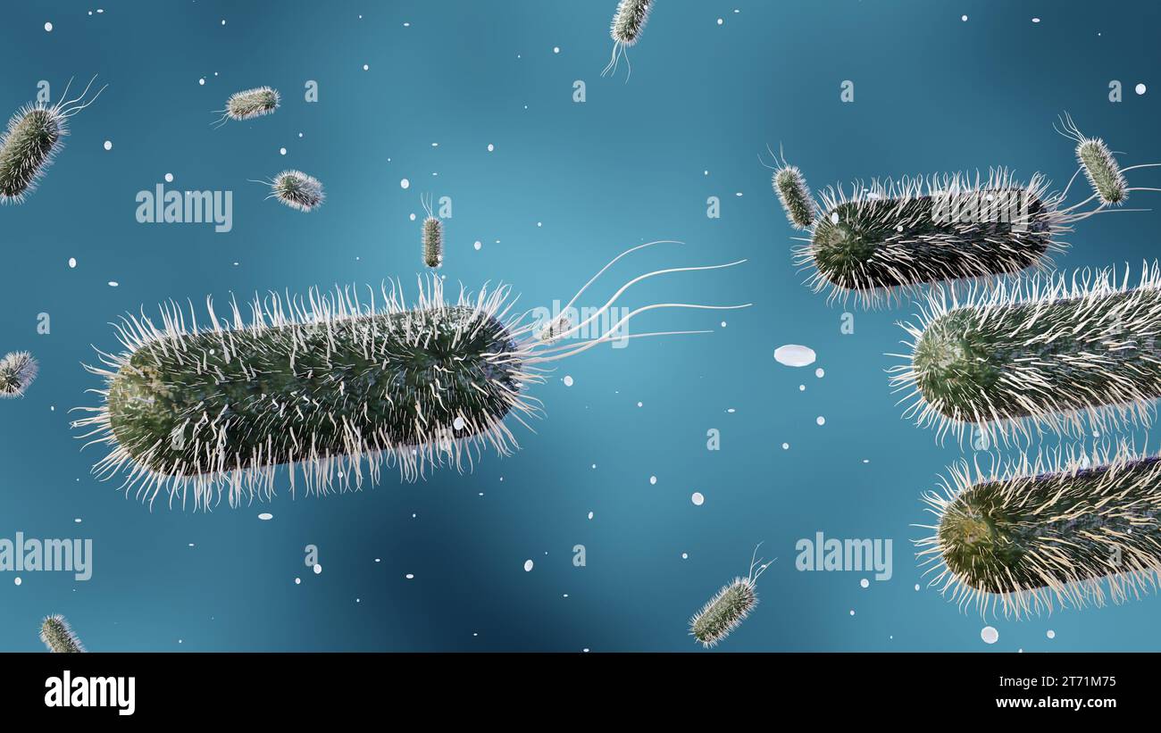 3d rendering of Escherichia coli, commonly known as E. coli, is a bacterium commonly found in the lower intestine of warm-blooded organisms Stock Photo