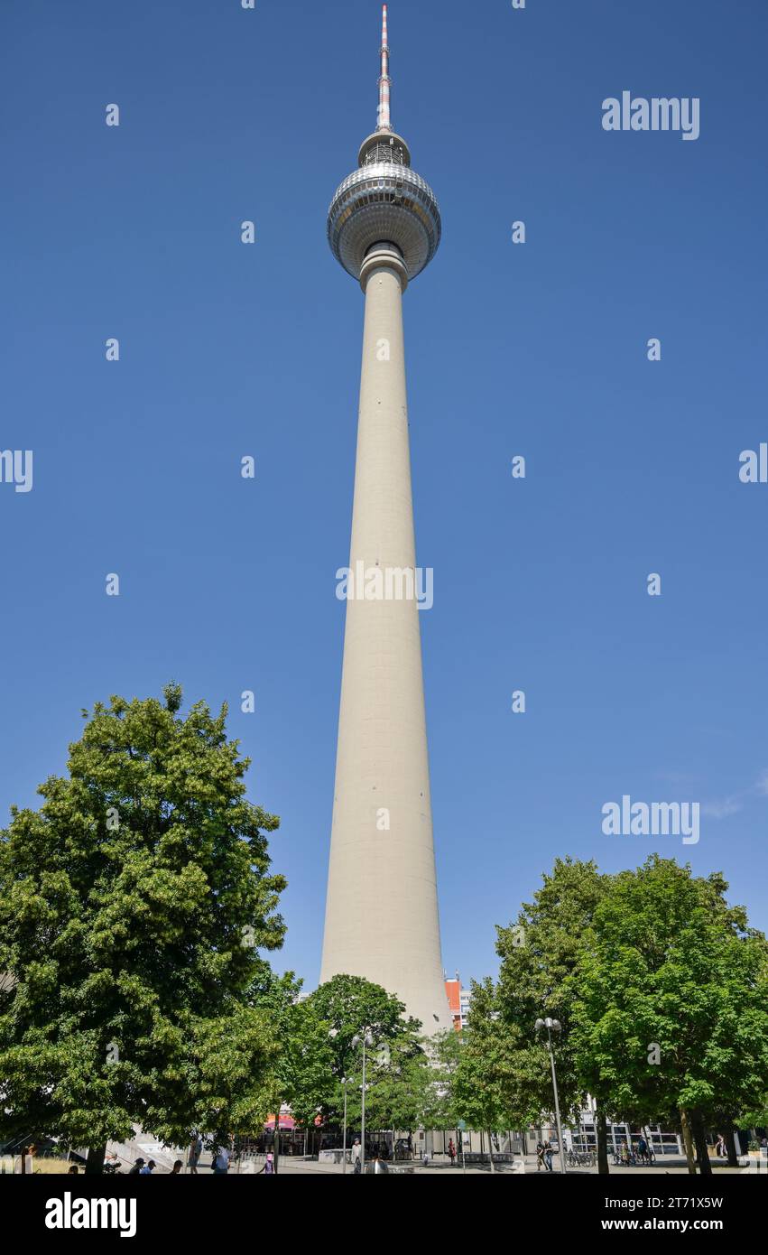 Fernsehturm, Alexanderplatz, Mitte, Berlin, Deutschland *** Local Caption *** , Berlin, Deutschland Stock Photo