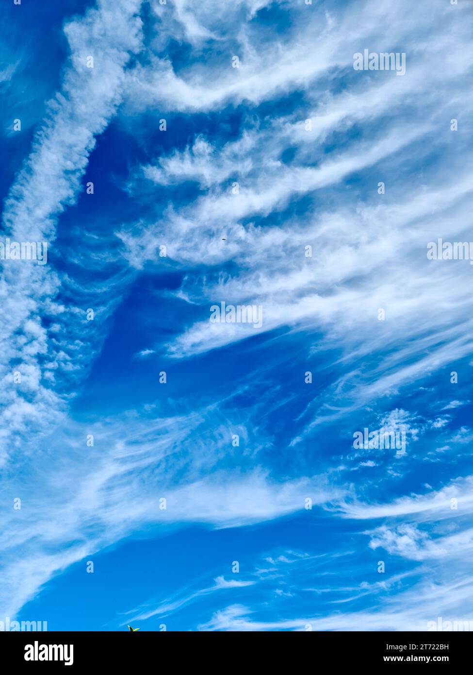 Stunning cirrus cloud formation panorama in a deep blue summer sky seen ...