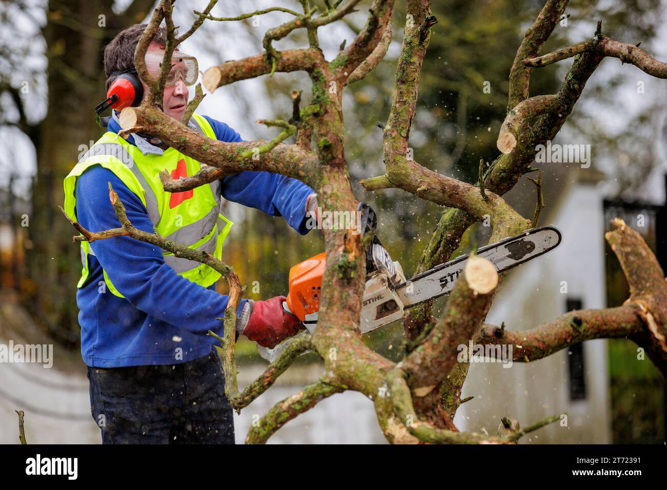 A man using a chainsaw cuts a fallen tree on the Dublin Road in Dundalk ...