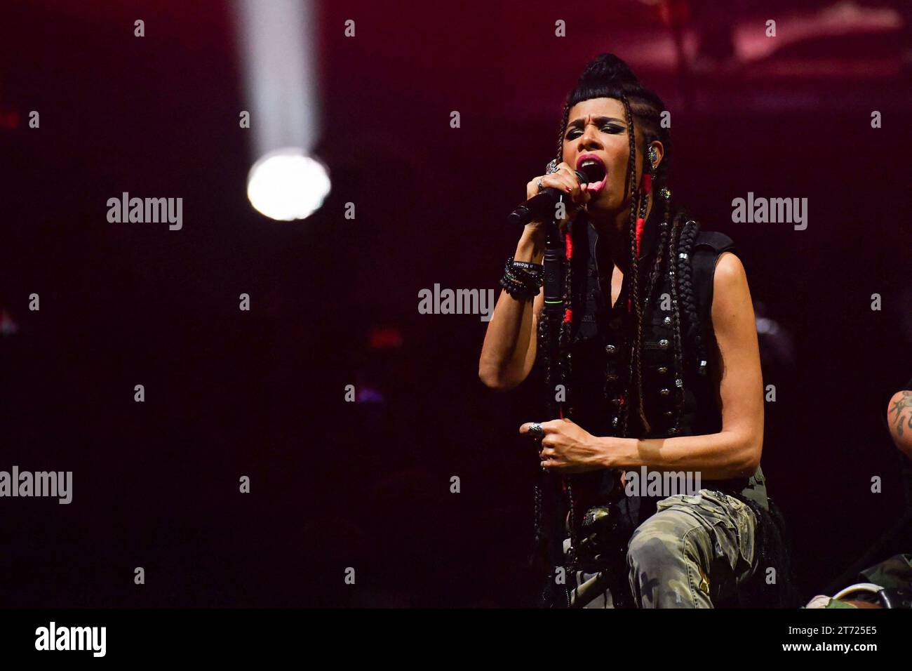 Rouen, France. 10th Nov, 2023. Shaka Ponk performs at the Zenith in Rouen,  France on november 10, 2023. Photo by Christophe Meng/ABACAPRESS.COM  Credit: Abaca Press/Alamy Live News Stock Photo - Alamy