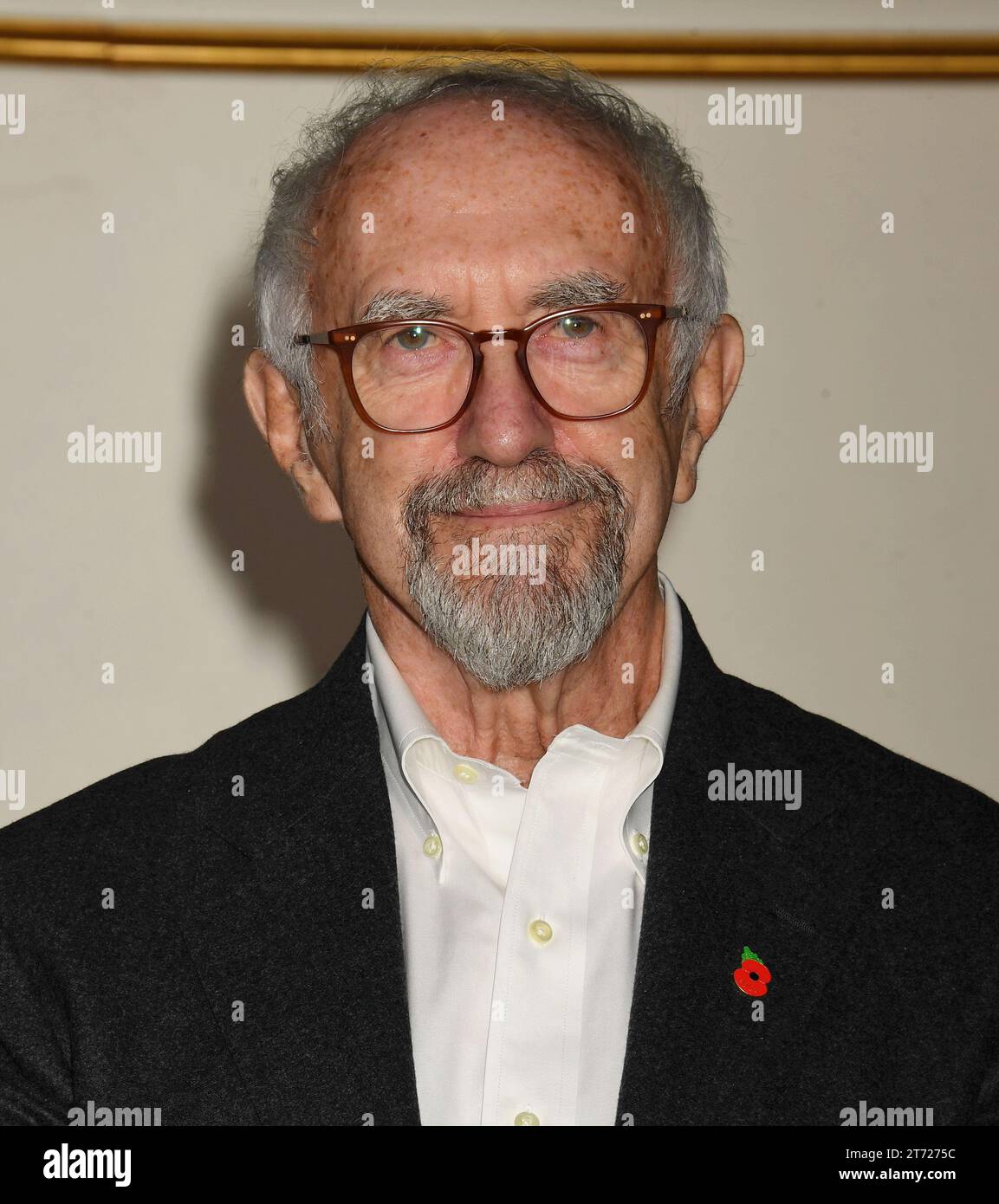 Los Angeles, California, USA. 12th Nov, 2023. Jonathan Pryce attends the premiere of Netflix's 'The Crown' Season 6 Part 1 at Regency Village Theatre on November 12, 2023 in Los Angeles, California. Credit: Jeffrey Mayer/Jtm Photos/Media Punch/Alamy Live News Stock Photo