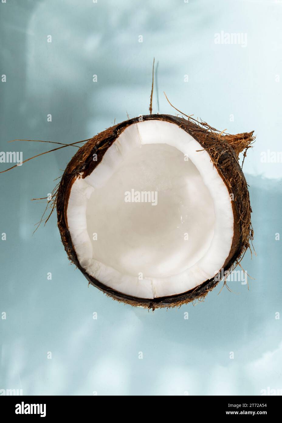 A cut piece of coconut, tropical healthy food, space for text Stock Photo