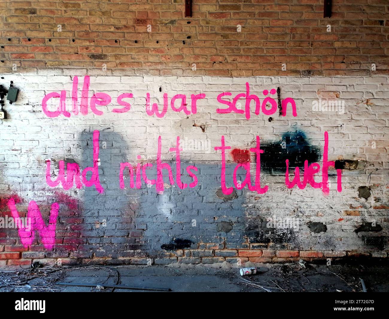 Graffiti auf einem Lost Place sagt: alles war schön und nichts tat weh. *** Graffiti on a lost place says everything was beautiful and nothing hurt Credit: Imago/Alamy Live News Stock Photo