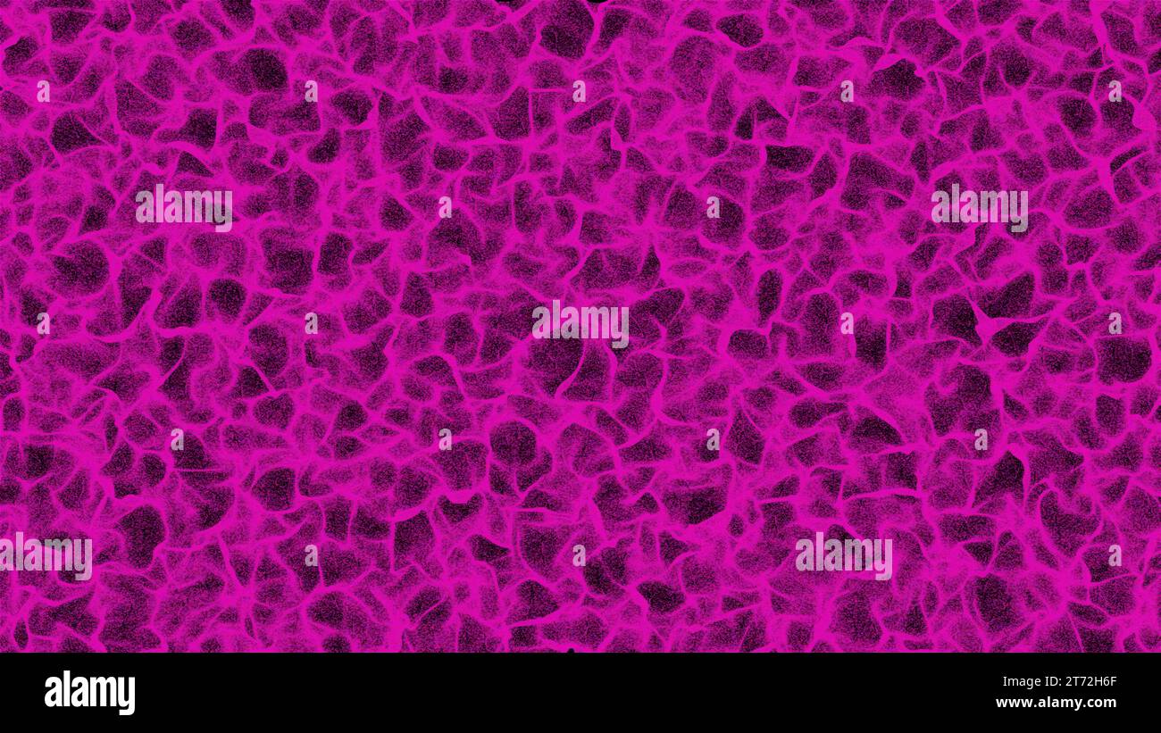 Flow wave particles. Computer generated 3d render Stock Photo - Alamy