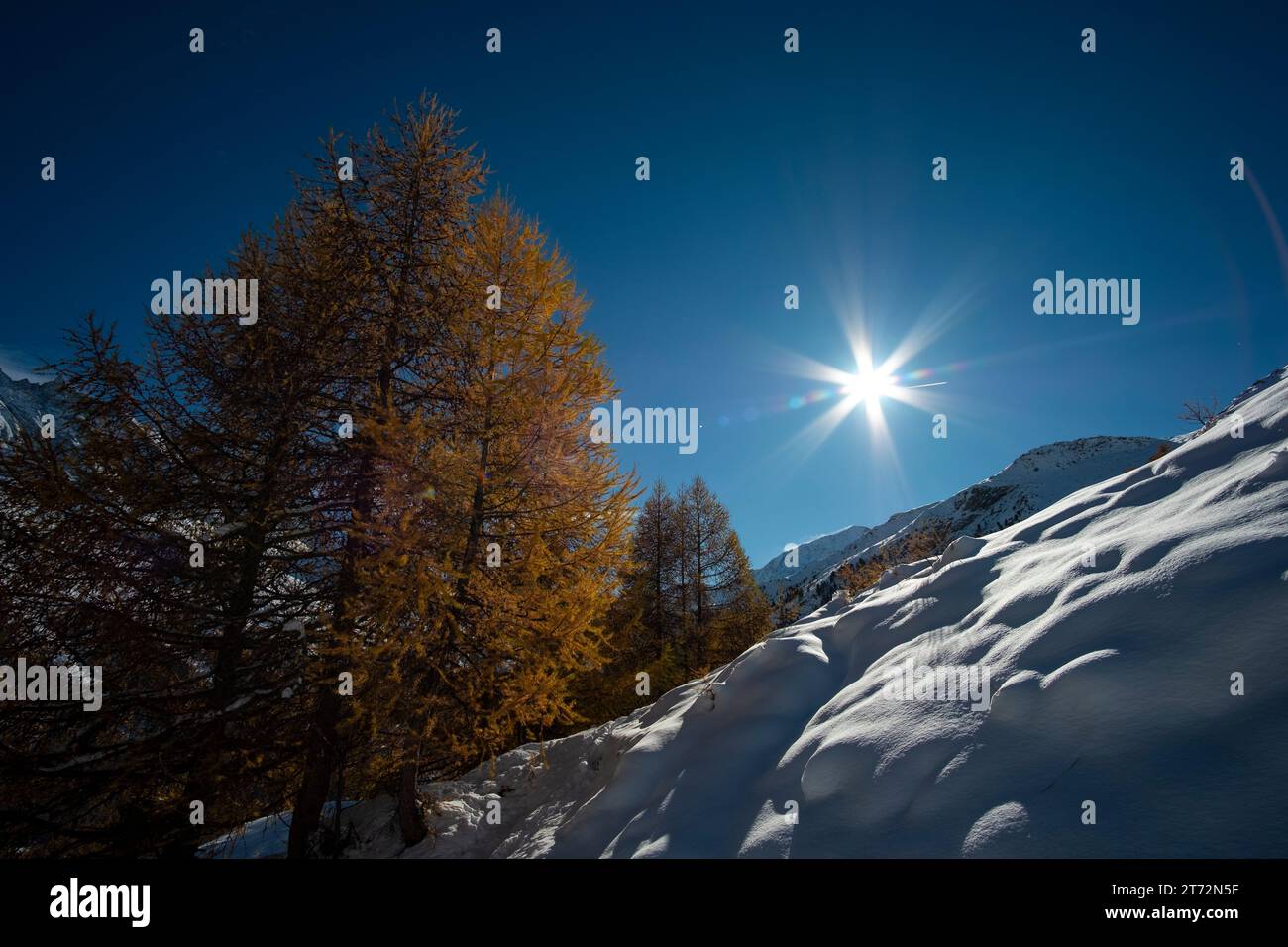 Cold R Winter Fall The autumn colors of the larches in a winter, sunny, cold valley Stock ...