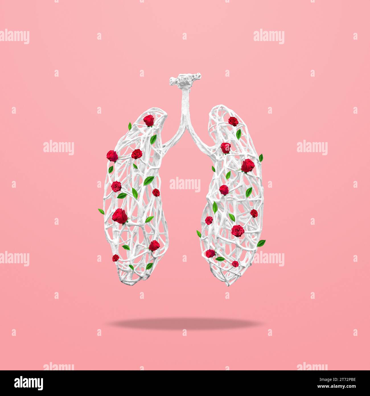 Medical concept made of white wooden branches in shape of human lungs with flowers on pink background. Inflammation of the lungs, viral epidemic. Stock Photo