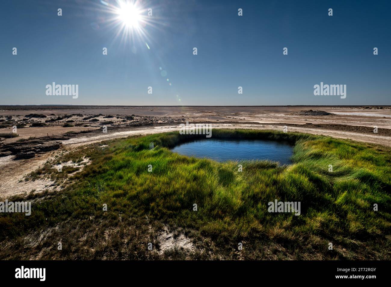 Blanche Cup, part of Mound Springs, a natural artesian spring in the middle of South Australia's desert. Stock Photo