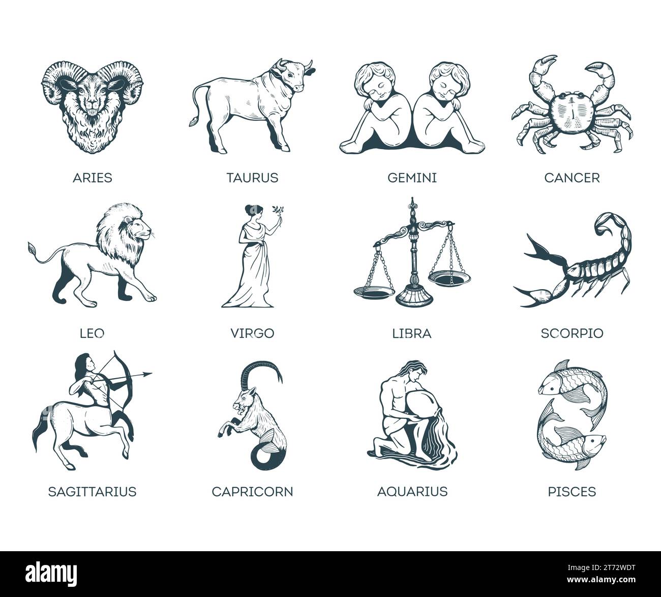 Zodiac Signs Vector Illustration Stock Vector Image Art Alamy Zodiac Signs Vector Illustration Stock Vector Image Art Alamy