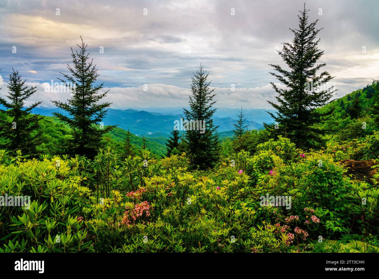 Scenic view of the Smokie Mountains from Blue Ridge Parkway near Maggie Valley, North Carolina Stock Photo