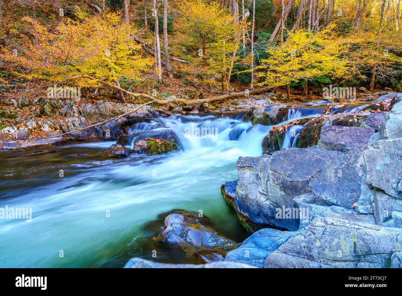 A cascade on Big Laurel Creek in North Carolina in fall Stock Photo