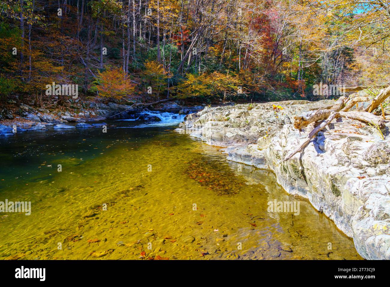 A cascade on Big Laurel Creek in North Carolina in fall Stock Photo