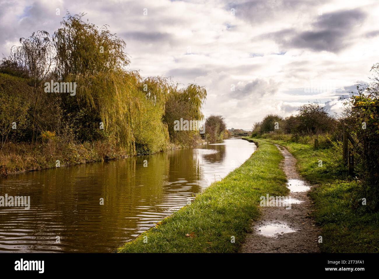 Trent and Mersey canal in Elworth near Sandbach Cheshire UK Stock Photo