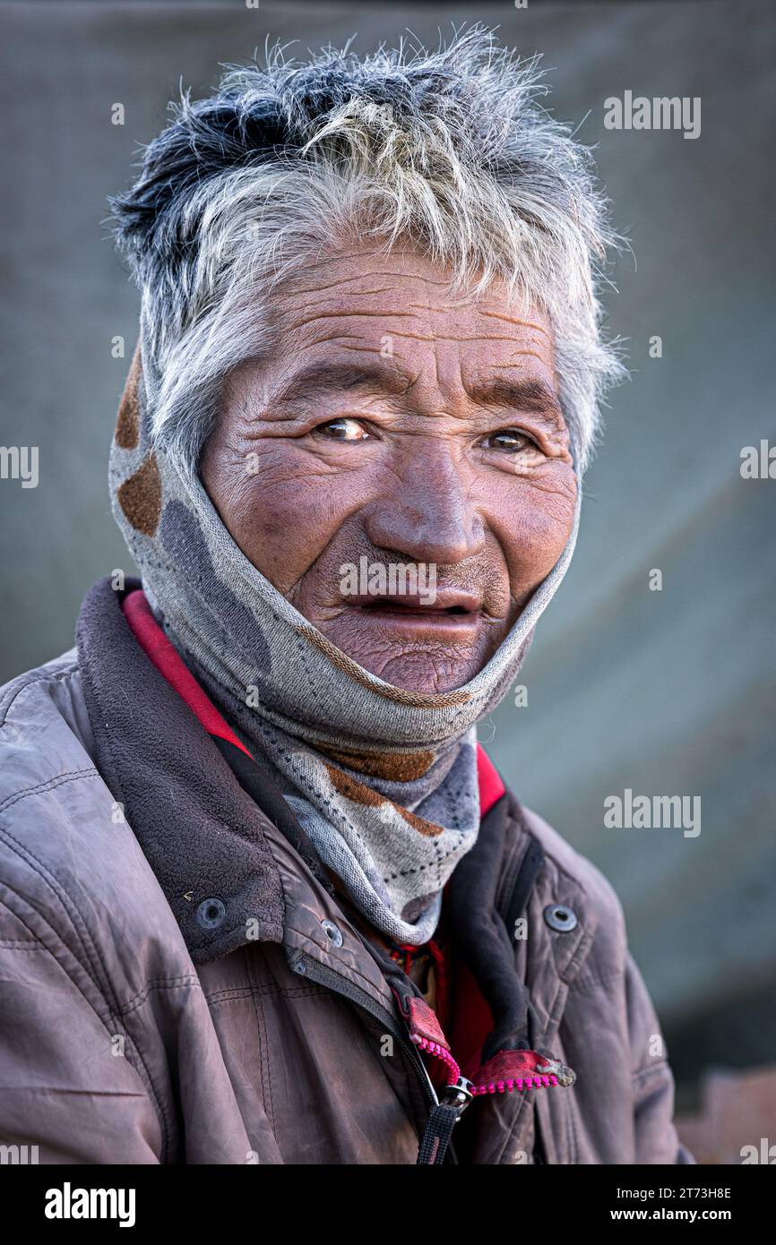 Portrait of a Changpa nomad, Ladakh, India Stock Photo
