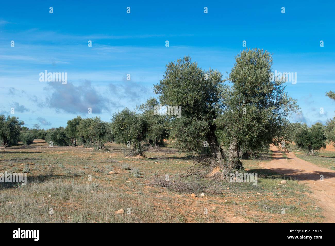 Agricultura hi-res stock photography and images - Alamy