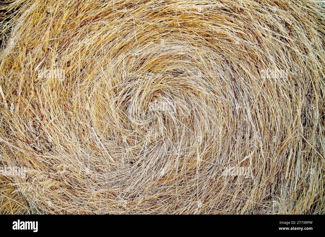 Haystack stack dry grass hi-res stock photography and images - Alamy