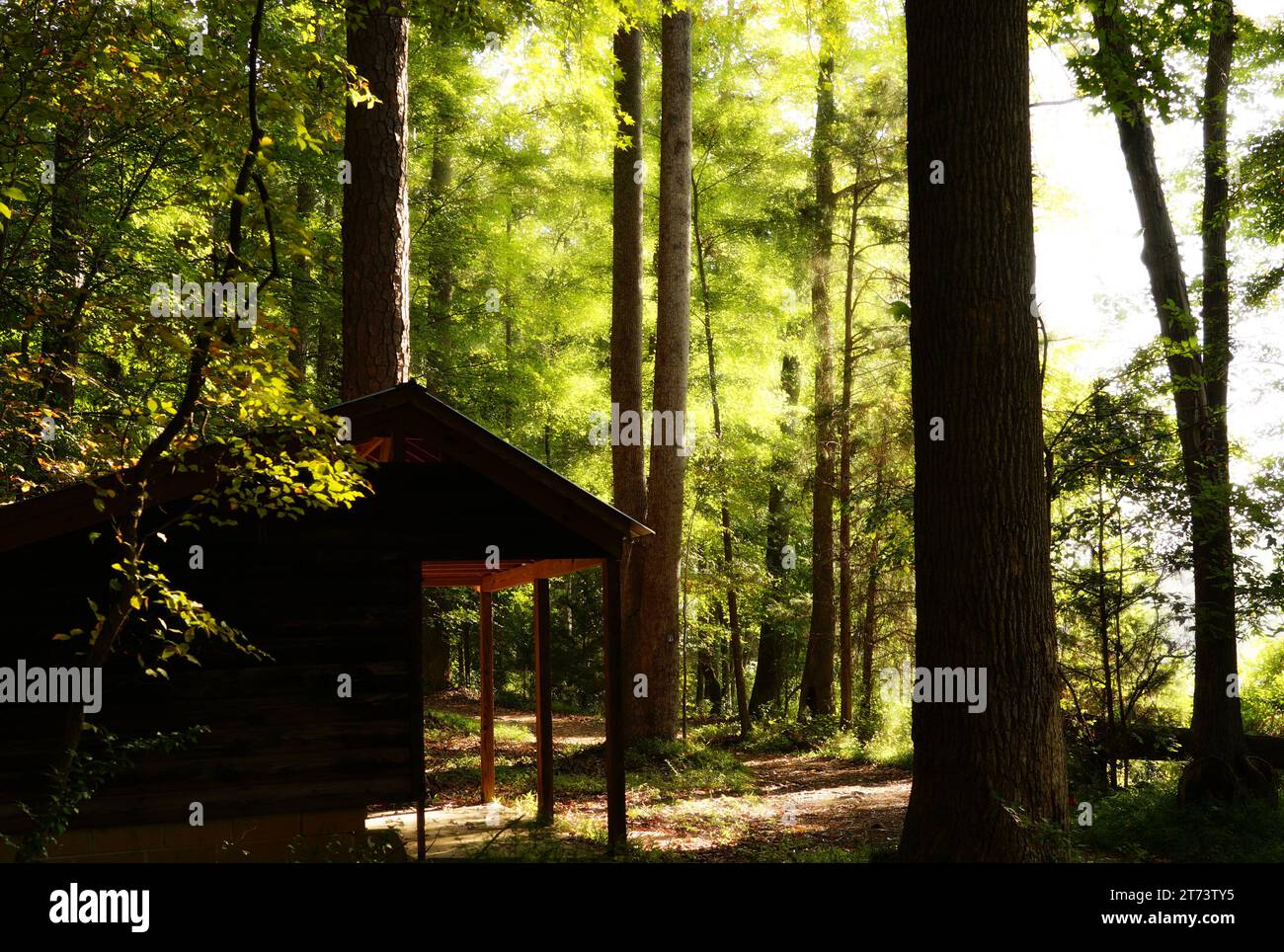 Cabin facing the rising morning sun located in a North Carolina Forest