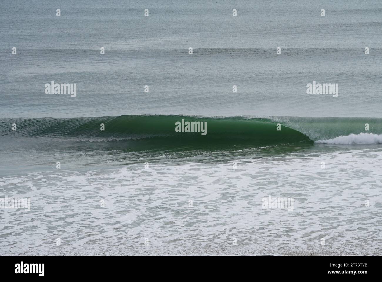 Green wave curling on a smooth silver ocean with oncoming wave sets emerging. This shot is taken at the Outer Banks NC, pre-hurricane conditions. Stock Photo