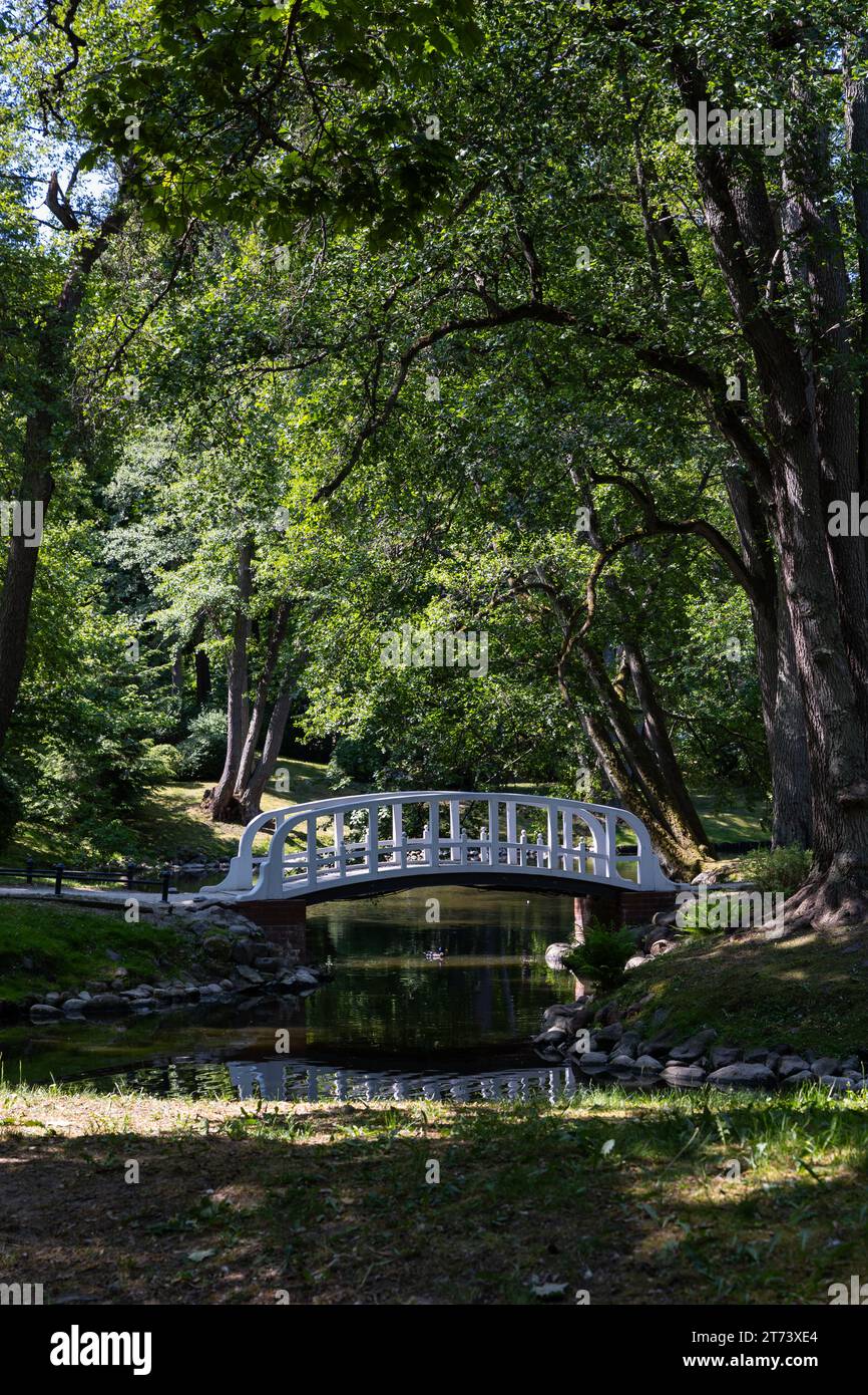 A little romantic bridge in a city park made of wood, painted in white. Park in natural light, on a sunny summer day. Stock Photo