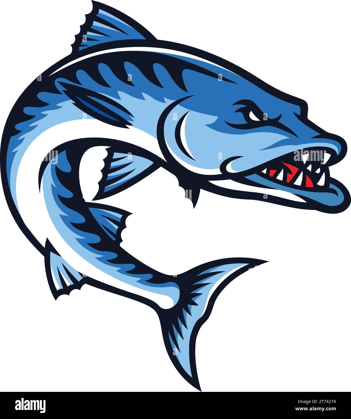 Illustration of Aggressive Barracuda Fish Stock Vector Image & Art Alamy