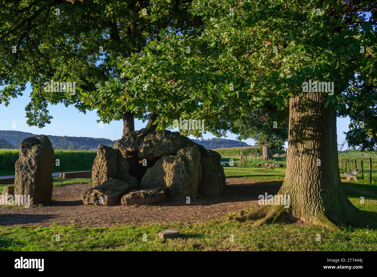 Grand Dolmen de Wéris, megalithic gallery grave / chambered tomb near Durbuy in summer, province of Luxembourg, Belgian Ardennes, Wallonia, Belgium Stock Photo