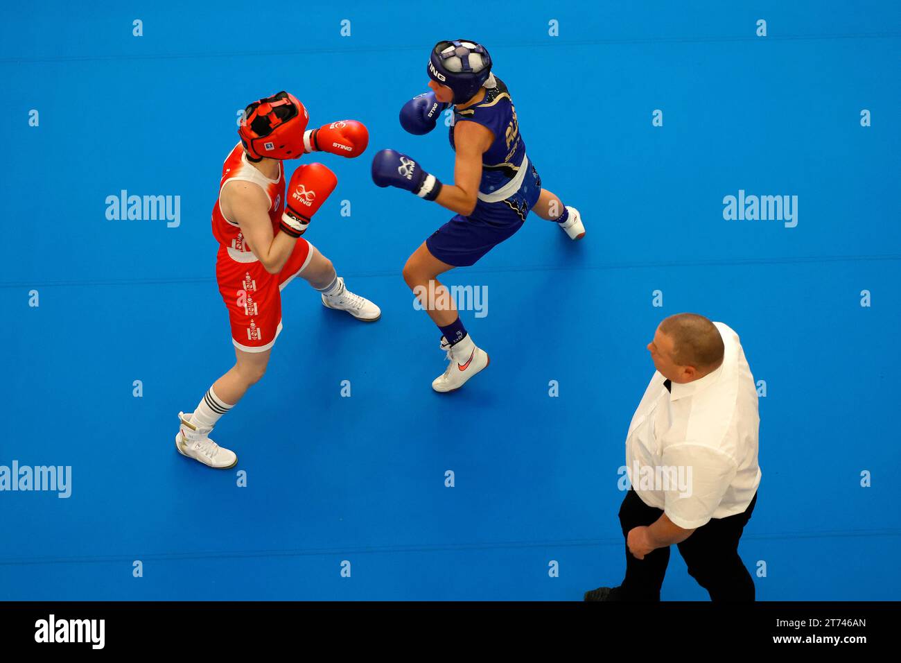 Koeln 28.10.2023 Cologne Boxing Cup 2023 Cologne Boxing Cup 2023 im ...