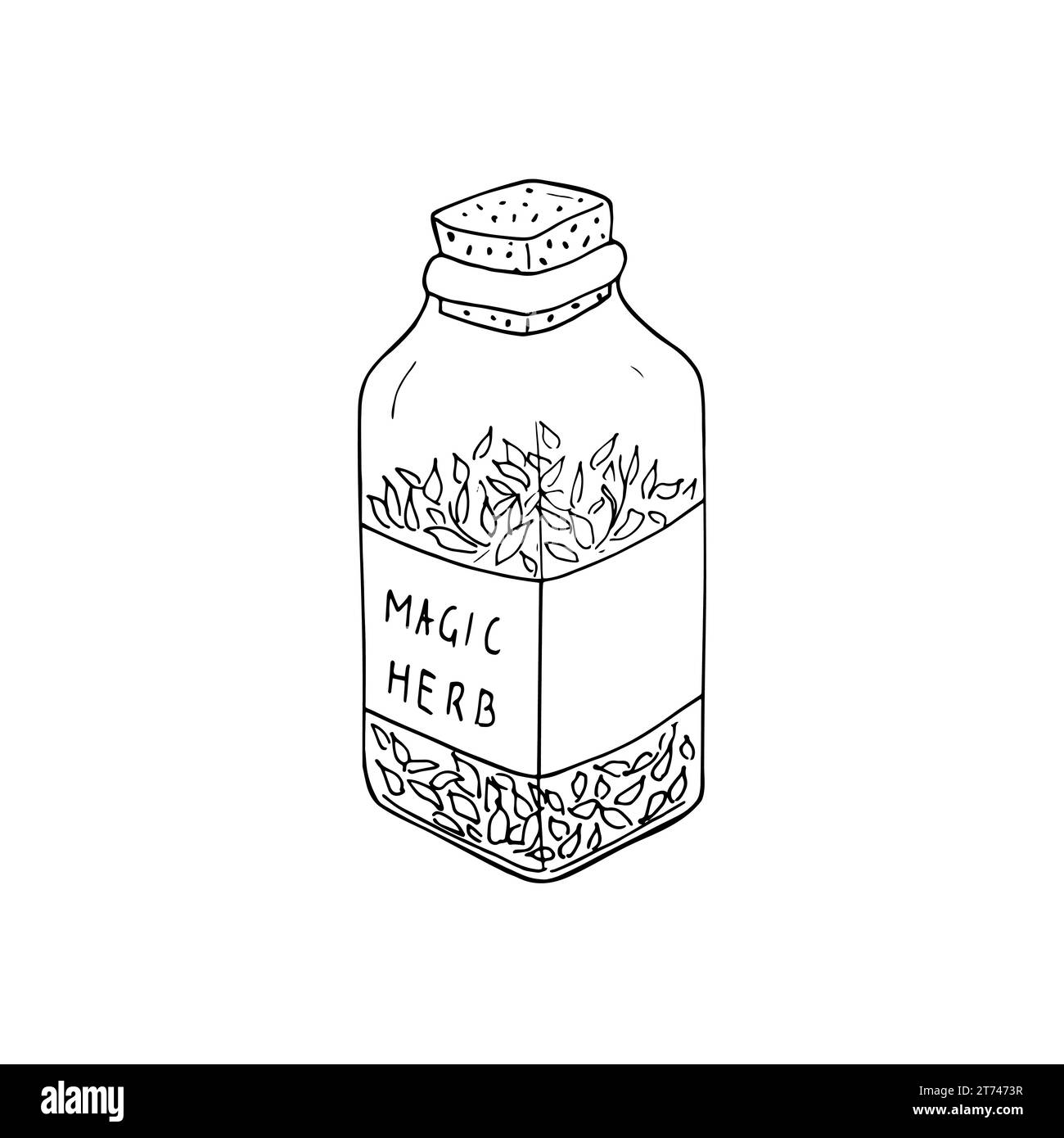 Vector illustration of dried herb in a glass jar. Vector illustration