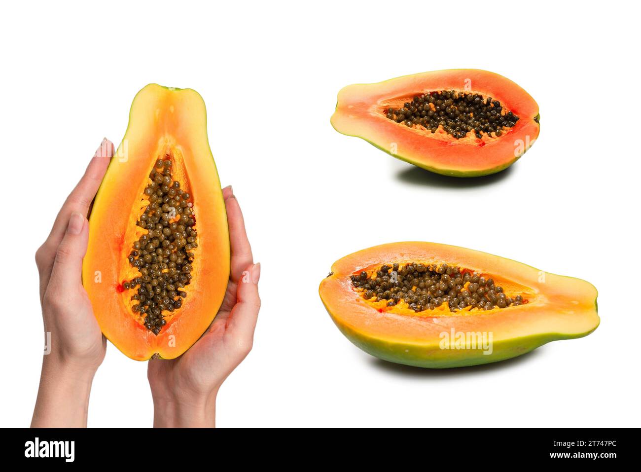 Papaya fruit isolated on a white background in woman hands. Tropical