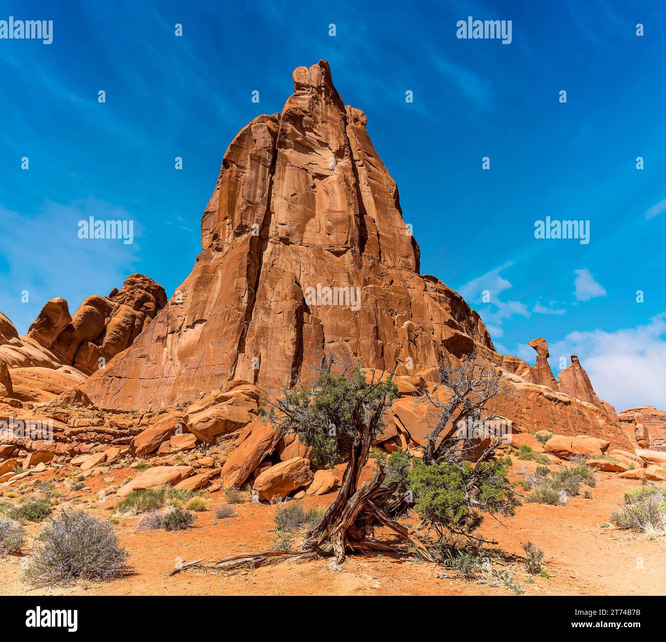 Towering Butte at Park Avenue Trail head viewpoint in Arches National Park, Moab, Utah in springtime Stock Photo