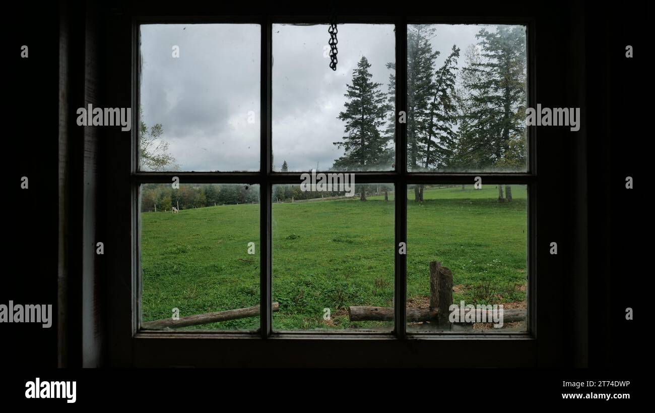 A view of a field of lush green grass seen through the window of a cozy ...