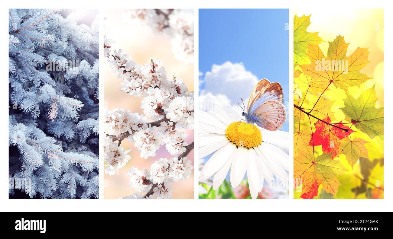 Four seasons of year. Set of vertical nature banners with winter ...