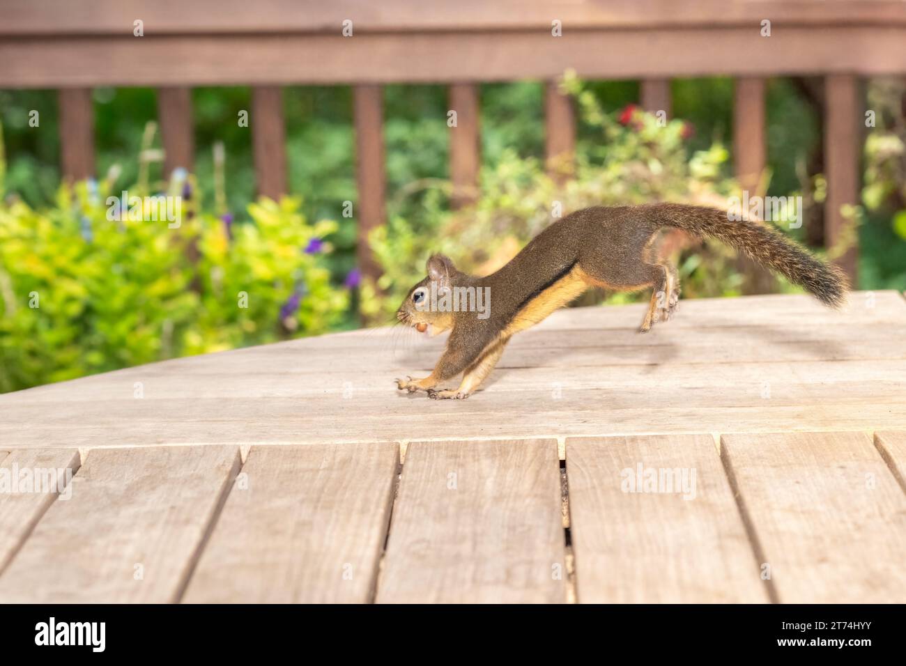 Issaquah, Washington, USA. Stock Photo