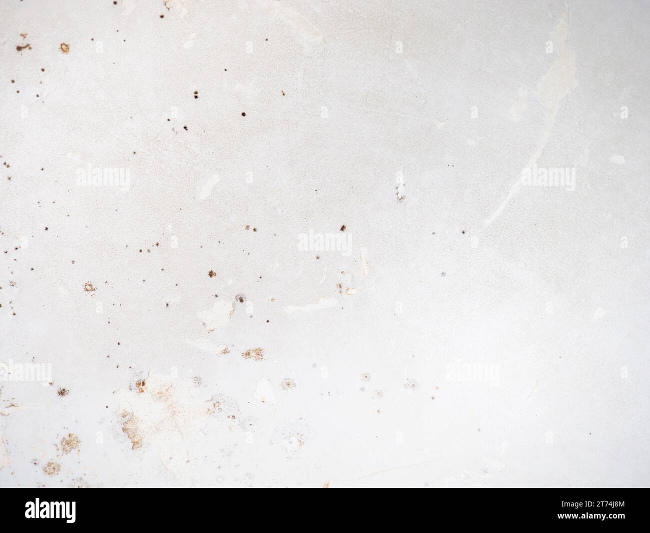 Black dots on bathroom enamel. Mold in the bathroom. Need a cleaning