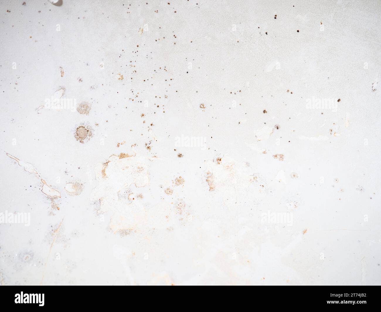 Black dots on bathroom enamel. Mold in the bathroom. Need a cleaning