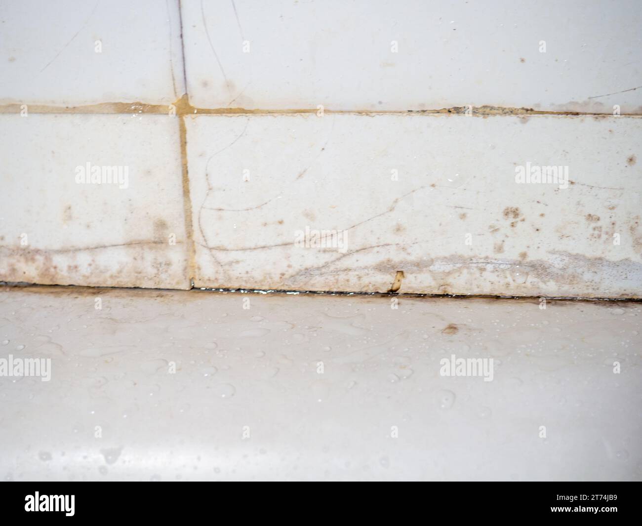 Dirty tiles in the bathroom. Black dots on bathroom enamel. Mold in the