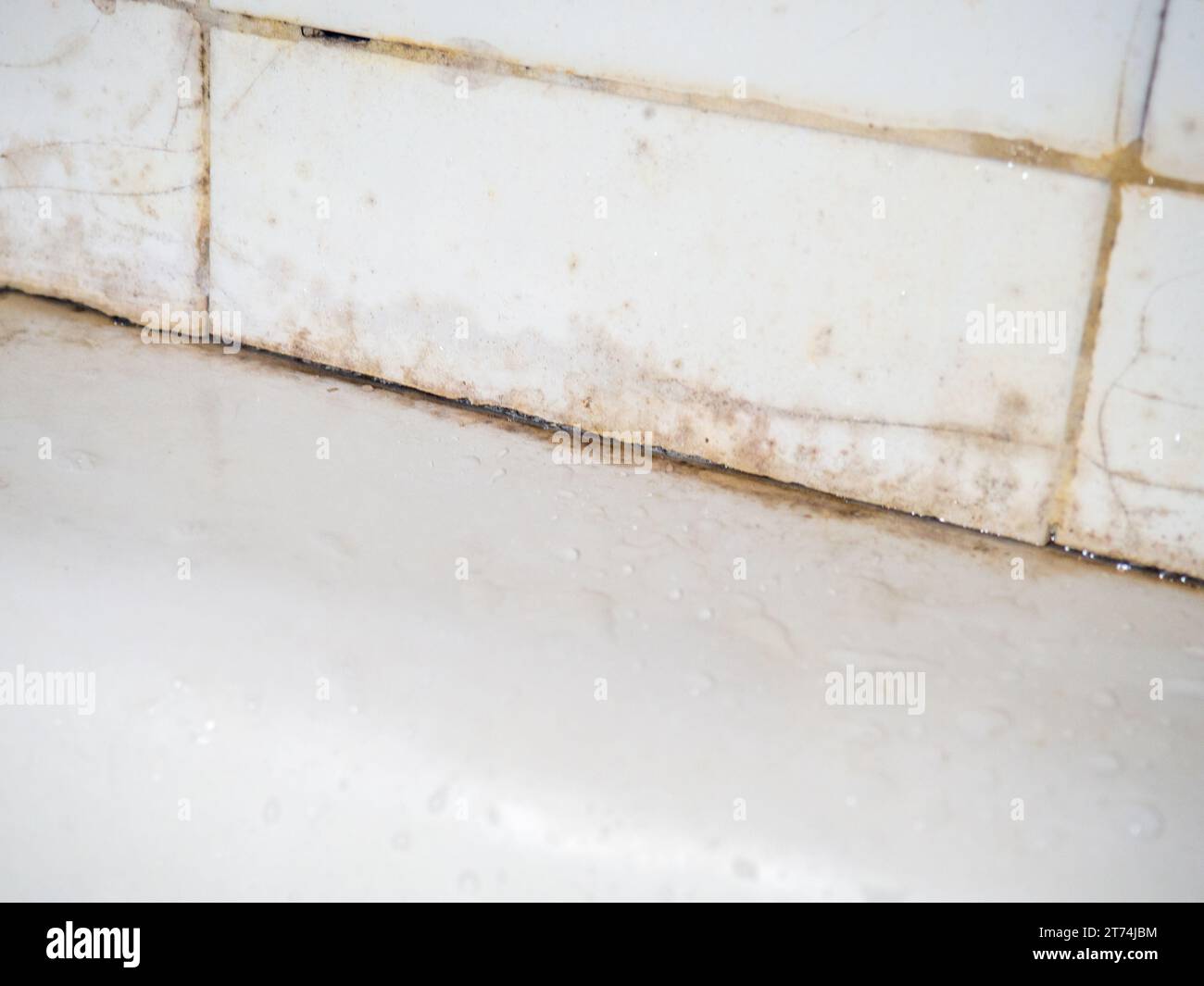 Dirty tiles in the bathroom. Black dots on bathroom enamel. Mold in the bathroom. Need a cleaning product. Bacteria. Cleaning product concept Stock Photo